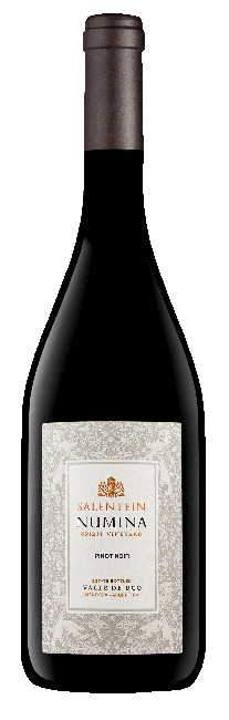 Salentein Numina Pinot Noir